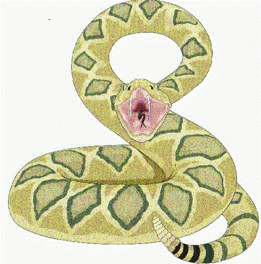 snake2.JPG (69736 bytes)